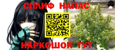 метадон Гатчина
