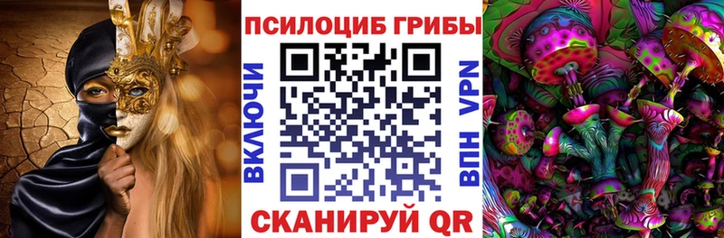 Псилоцибиновые грибы Cubensis Городец
