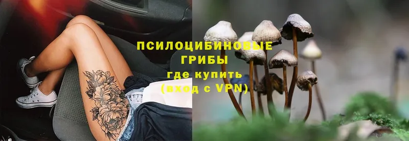 МЕГА рабочий сайт  Городец  Псилоцибиновые грибы Psilocybe  как найти закладки 